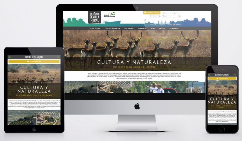 Diseño web Destino Sevilla Rural