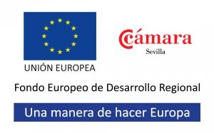 Oficina de Arte Unión Europea Cámara Sevilla