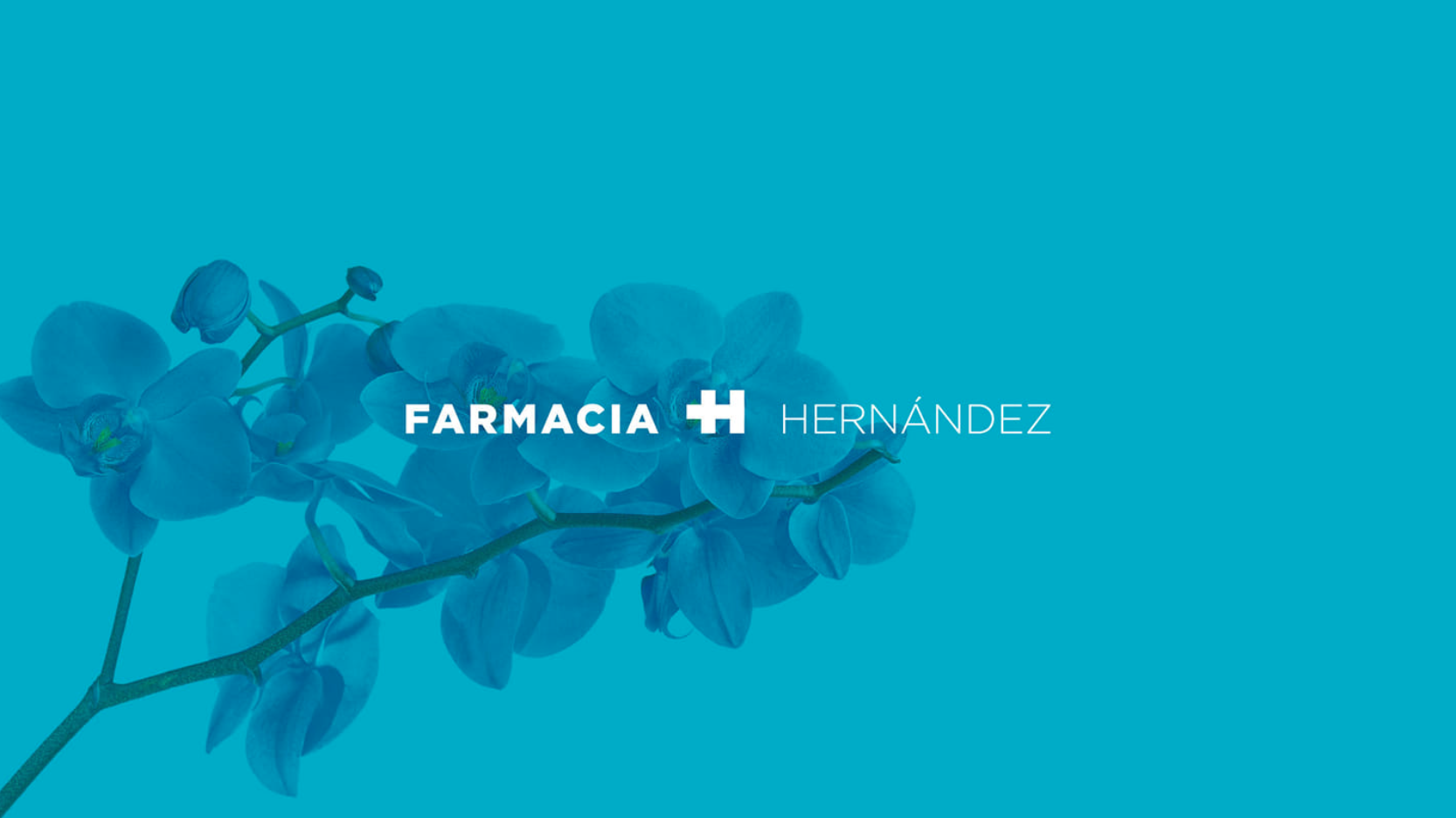 diseño de farmacia